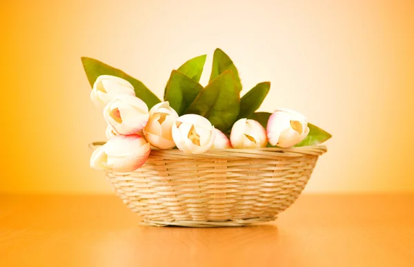 Csomó-ból tulipán virág az asztalon — Stock Fotó