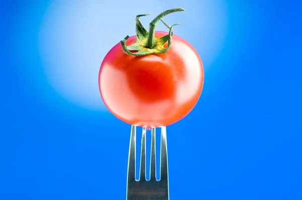 Rote Tomate vor dem Hintergrund des Gefälles — Stockfoto
