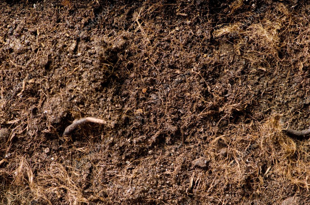 Close up of soil - can be used as background — Stock Photo © Elnur ...