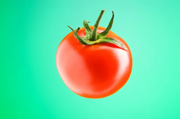 Fresh red tomato against the gradient background — Stock Photo, Image