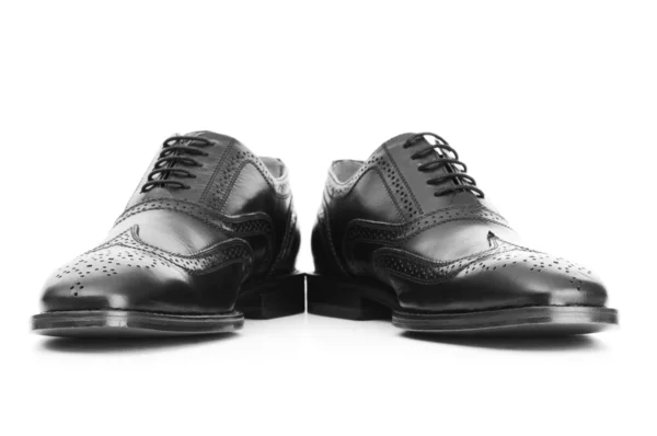 Erkek ayakkabıları beyaz arka planda izole edilmiş — Stok fotoğraf