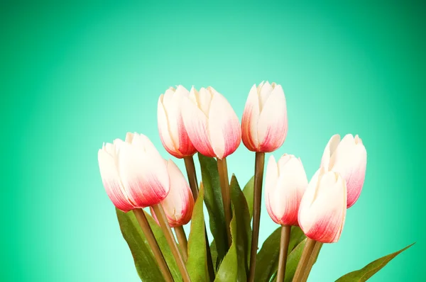Lale çiçek tablo grup — Stok fotoğraf