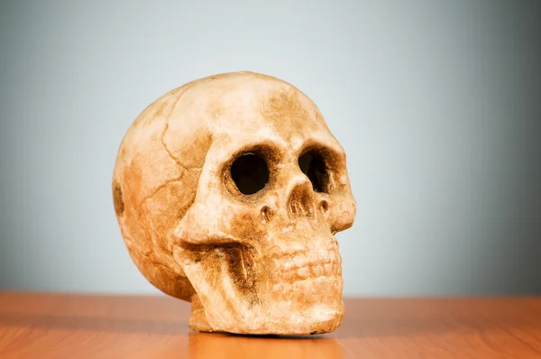 グラデーションの背景に対して人間の頭蓋骨 — ストック写真
