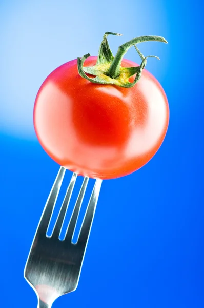 Czerwony pomidor przeciw tło gradientowe — Zdjęcie stockowe