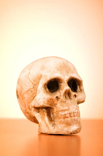 グラデーションの背景に対して人間の頭蓋骨 — ストック写真