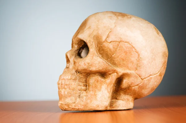 Cráneo de humano contra el fondo del gradiente —  Fotos de Stock