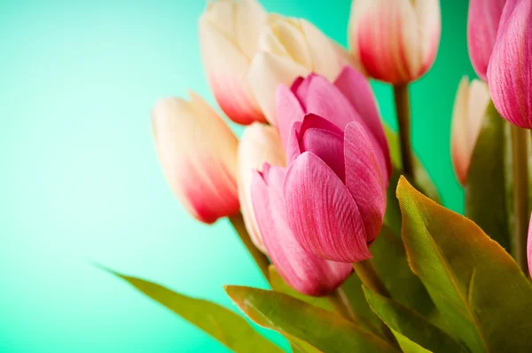 Bouquet of colorful tulips on the table — Stock Photo, Image