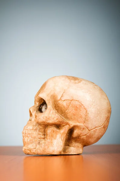 Cráneo de humano contra el fondo del gradiente — Foto de Stock
