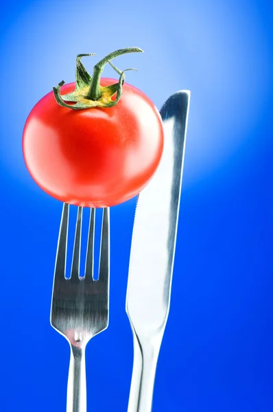 stock image Red tomato against gradient background