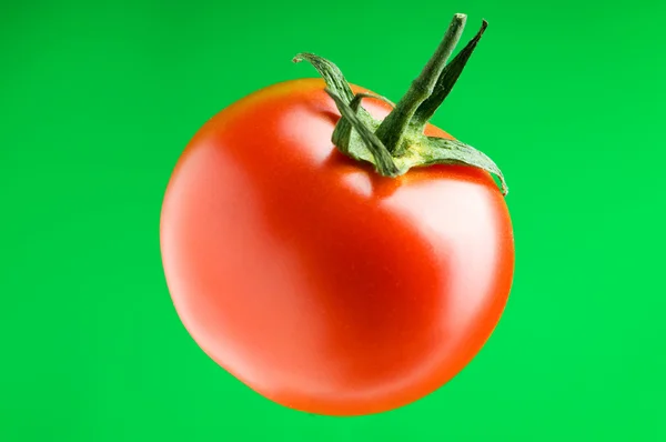 Red tomato against gradient background — Stock Photo, Image