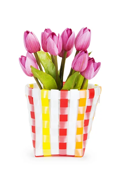 Pote de tulipas coloridas isoladas em branco — Fotografia de Stock
