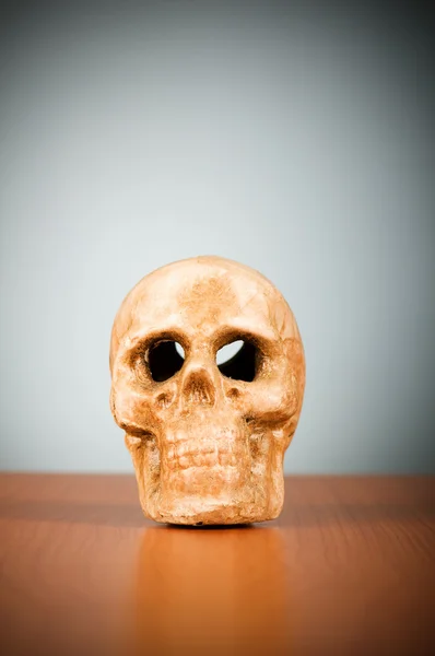 Skull of human against the gradient background — Stock Photo, Image