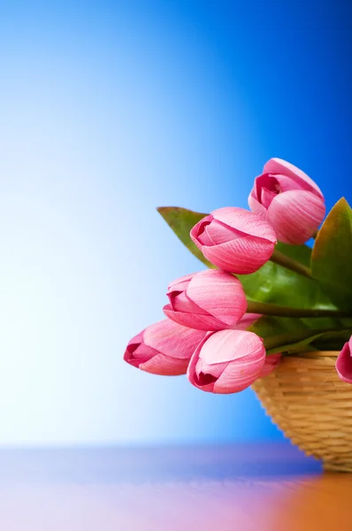 Um monte de flores de tulipa na mesa — Fotografia de Stock