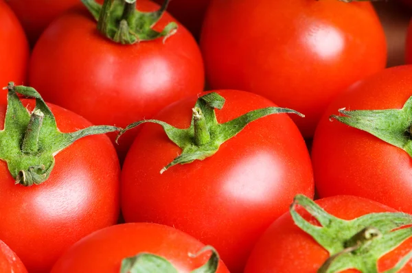 Červená rajčata na trhu stojan — Stock fotografie