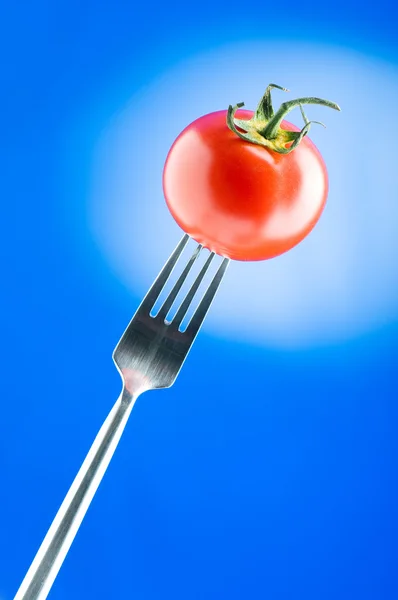 红番茄渐变背景 — 图库照片