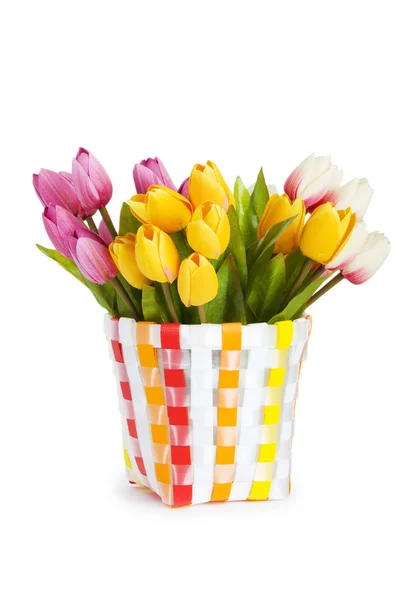 Garnek kolorowe tulipany na białym tle — Zdjęcie stockowe