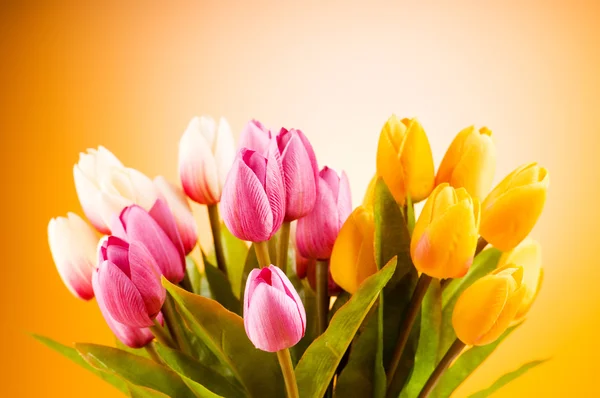 Букет різнокольорових тюльпанів на столі — стокове фото