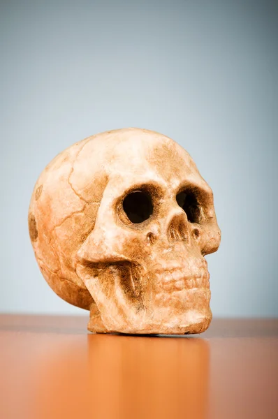 Cráneo de humano contra el fondo del gradiente — Foto de Stock