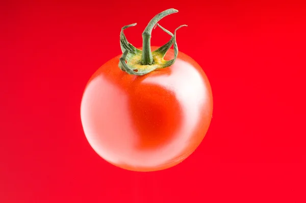 stock image Red tomato against gradient background