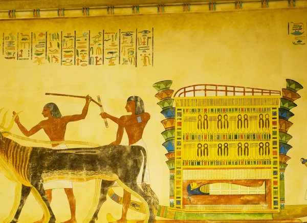 Egyptiska koncept med tavlor på väggen — Stockfoto