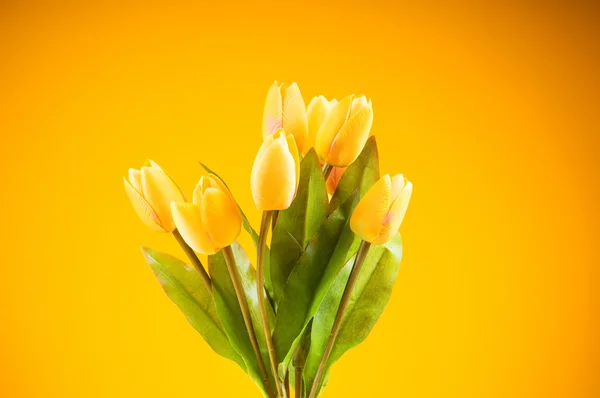 Strauß Bunter Tulpen Auf Dem Tisch — Stockfoto