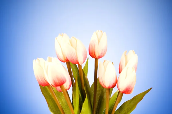 Цветы тюльпанов на столе — стоковое фото