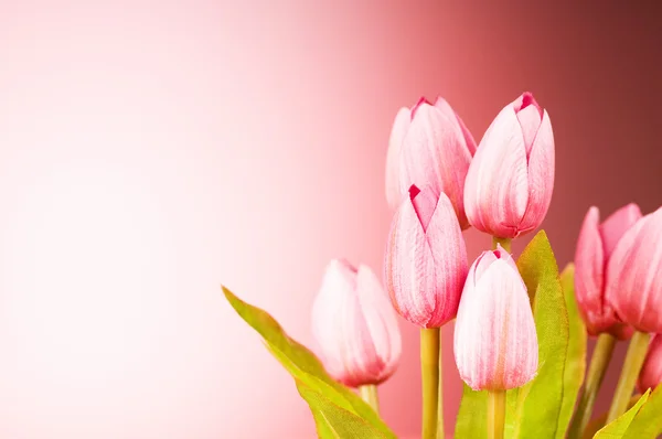 Bunch Tulip Flowers Table — Stock Photo, Image