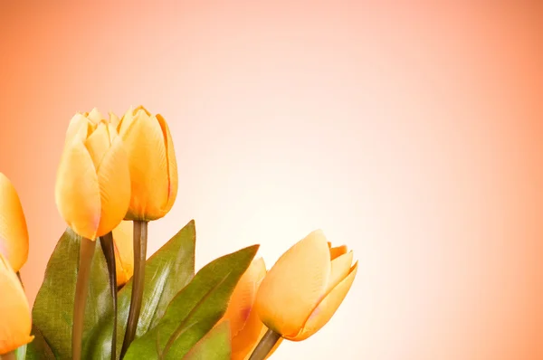 Ramo Flores Tulipán Sobre Mesa — Foto de Stock