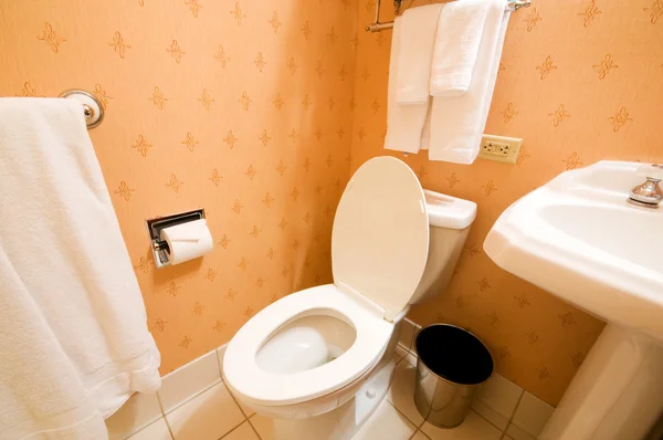 Interior of the room - Toilet in the bathroom Royalty Free Stock Images