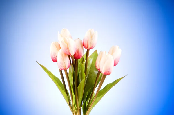 Bouquet Colorful Tulips Table — Stock Photo, Image