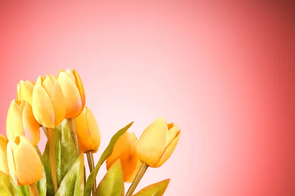 Bunch of tulip flowers on the table — Stock Photo, Image
