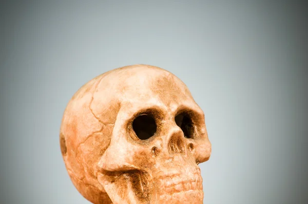Cráneo Humano Contra Fondo Del Gradiente —  Fotos de Stock