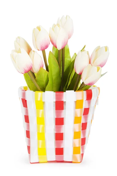 Pot Colorful Tulips Isolated White — Stock Photo, Image