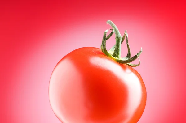 Tomate rojo contra fondo degradado —  Fotos de Stock