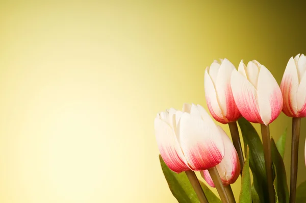 Ramo de flores de tulipán sobre la mesa — Foto de Stock