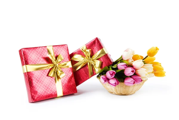 축 하 개념-선물 상자와 튤립 꽃 — 스톡 사진
