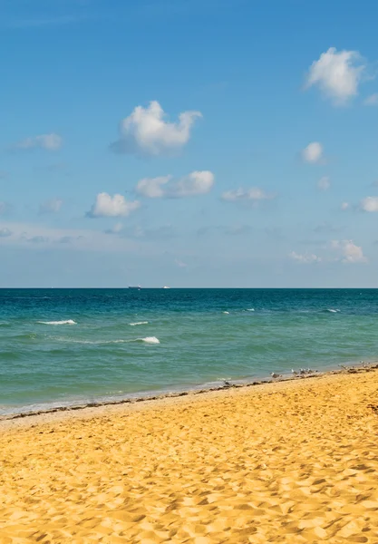Песчаный пляж в яркий летний день — стоковое фото