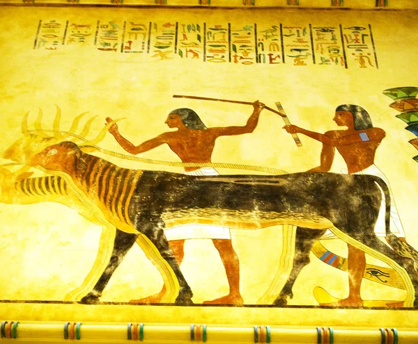 Egipski koncepcja z obrazów na ścianie — Zdjęcie stockowe