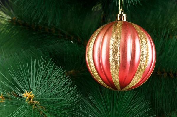 Christmas Decoration Tree Holiday Concept Stock Image