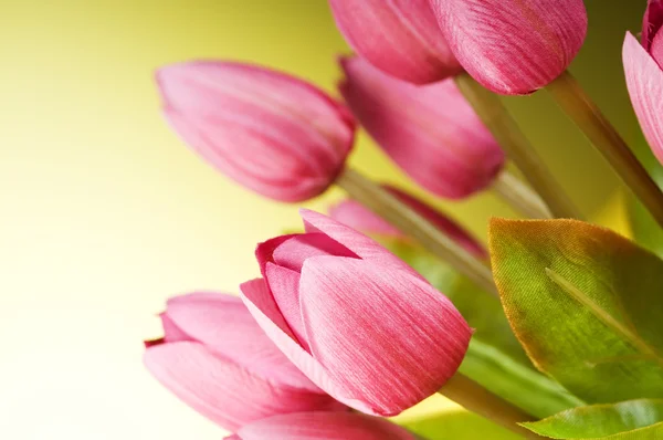 Bunch of tulip flowers on the table — Stock Photo, Image