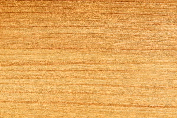 Шаблон Дерева Использован Качестве Фона — стоковое фото