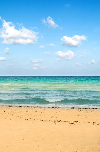 Песчаный пляж в яркий летний день — стоковое фото
