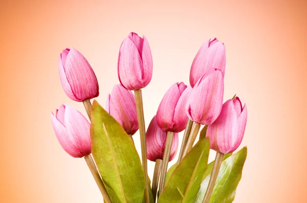 Букет Квітів Тюльпанів Столі — стокове фото