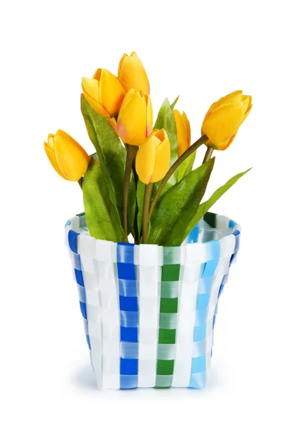 Topf Mit Bunten Tulpen Isoliert Auf Weiß — Stockfoto