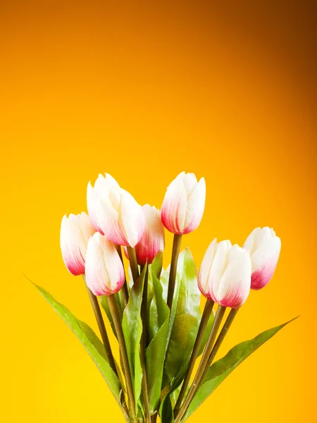 Ramo Coloridos Tulipanes Sobre Mesa — Foto de Stock
