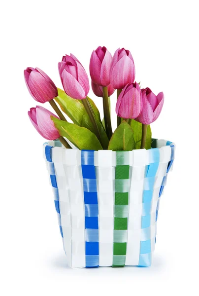 Grå, fargerike tulipaner isolert på hvite – stockfoto