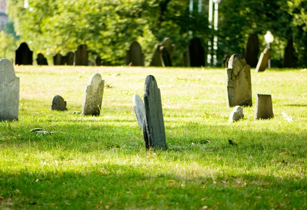 Begraafplaats Met Vele Grafstenen Heldere Dag — Stockfoto