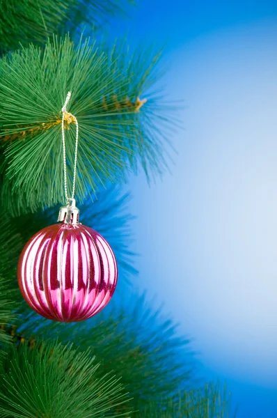 Noel Dekorasyon Tatil Kavramı Ağaçta — Stok fotoğraf
