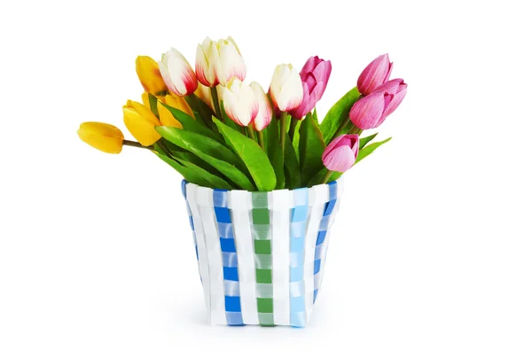 Hrnec barevné tulipány izolovaných na bílém — Stock fotografie