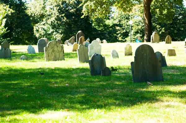 Cementerio Con Muchas Lápidas Día Brillante — Foto de Stock